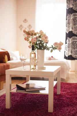 Lidicka Apartment in Prag