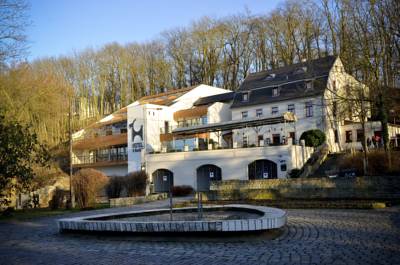 Pension Hotel U Kozicky in Teplitz