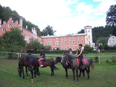 Pension Zámek in Rudník