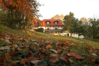 Penzion Dvůr in Obora