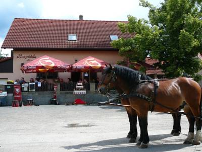 Penzion Na Navsi in Dobřichovice