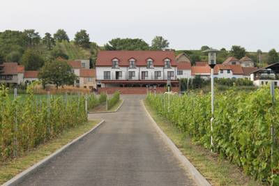 Penzion Pod Kraví Horou in Bořetice