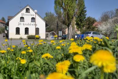 Penzion U Hraběnky in Petrovice