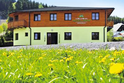 Wellnesshotel Sauna in Malá Morávka