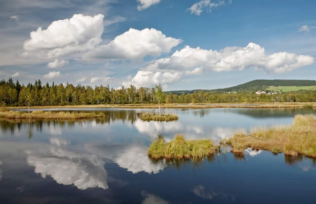 Böhmerwald Šumava