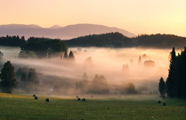 Jagdidylle in Tschechien