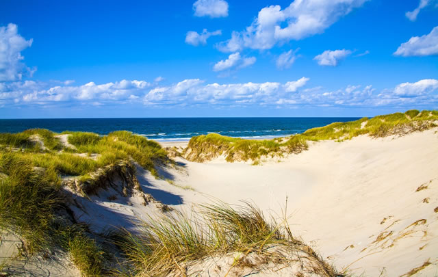 Nordseeküste Nordseeküste