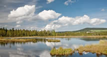 Natur der Region Pilsen: Böhmerwald, Šumava, Berounka-Flusstal
