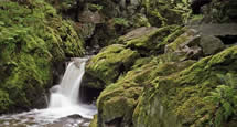 Natur der Böhmisch-Mährische Höhe: Žďár nad Sázavou, Mohelno