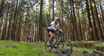 6 traumhafte Radtouren und Fernradwege in Tschechien: Radtouristik und Fahrrad Touren bei Czech Tourist.